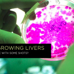 JAPANLIVER