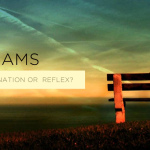 dreams