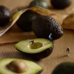 Avocat-1
