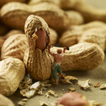 cacahuettes-1