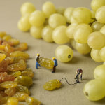 raisin-1