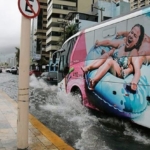 perfect-timing-bus