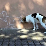 perfect-timing-chalk-dog
