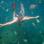 perfect-timing-fishhead