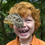 perfect-timing-moth