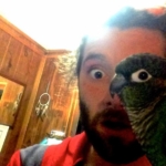 perfect-timing-parrot