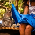 perfect-timing-pervmonkey