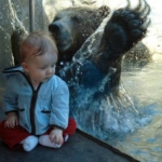 perfectly-timed-babybear