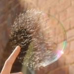 perfectly-timed-bubble