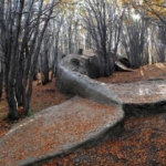 Whale-in-the-woods