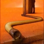 politicallies