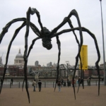 spider