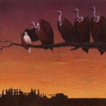 vulturesamongdoves