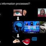 conciousness-process