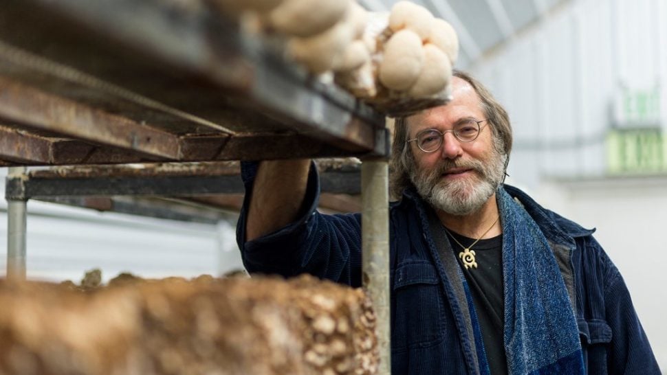 This Man Thinks Mushrooms Can Fix the Environment and Take Down Monsanto