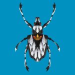 Beetle_Square_Blue