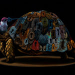 Pandora – 16×20 (2014)