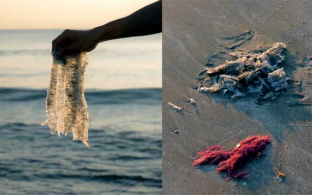 Seaweed-Based Material Could Replace Plastic in the Near Future