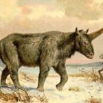 prehistoric-unicorn