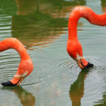 flat,550×550,075,f