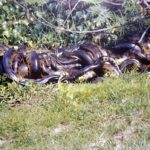 wissenwertes_07