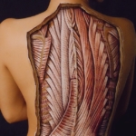 Immaculate Dissection
