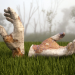 hands
