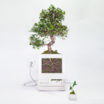 plant_you_mac_macbonzai_monsieur_plant_2016_1_ok_carre