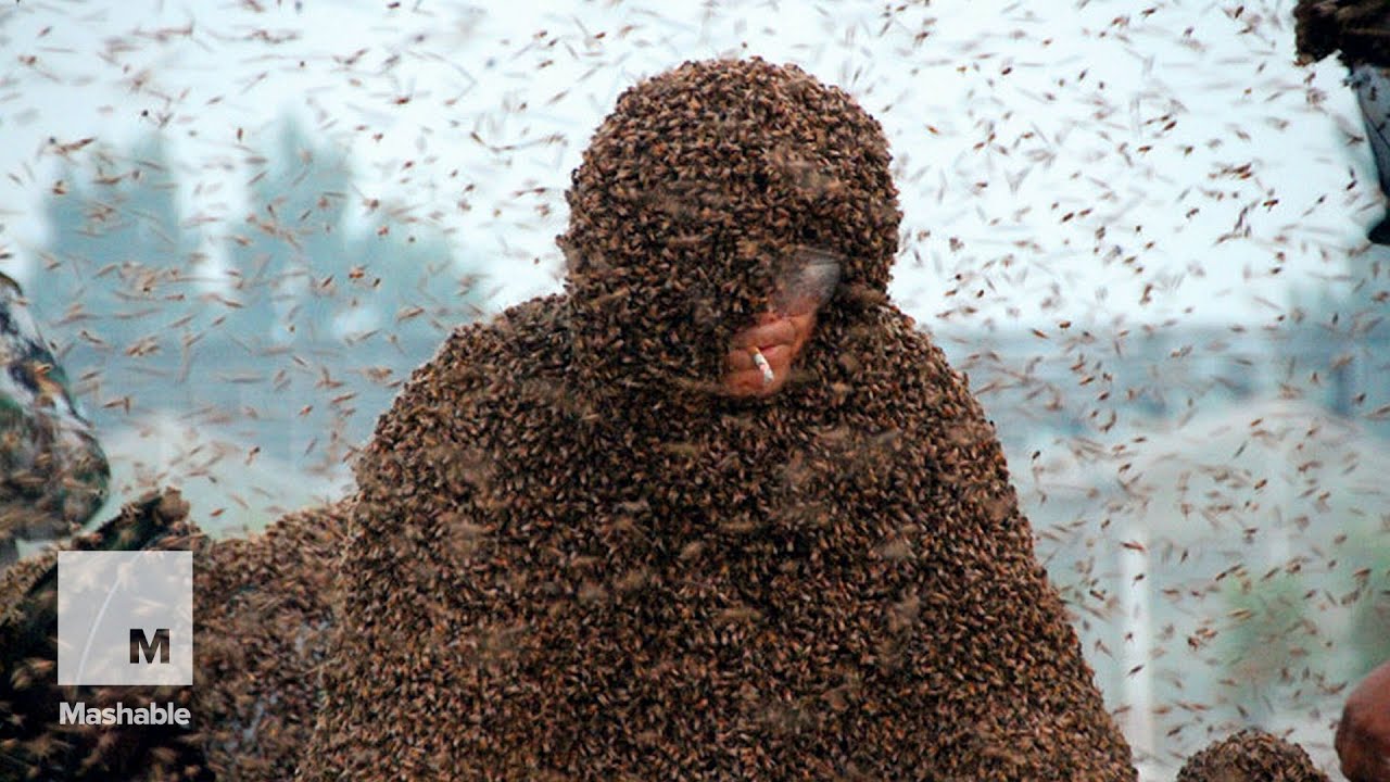 human-beehive