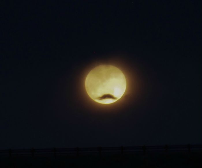 moon-mustache