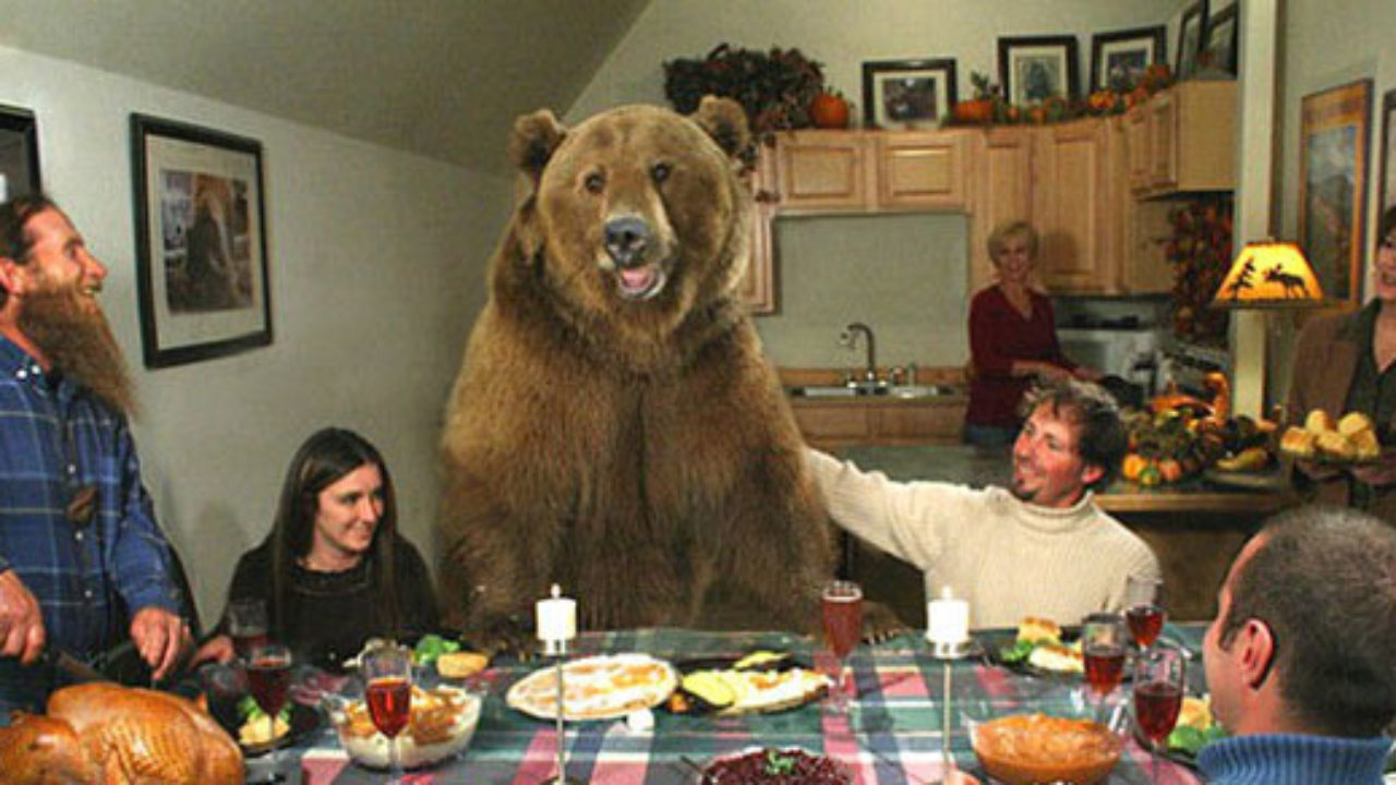 bear-dinner