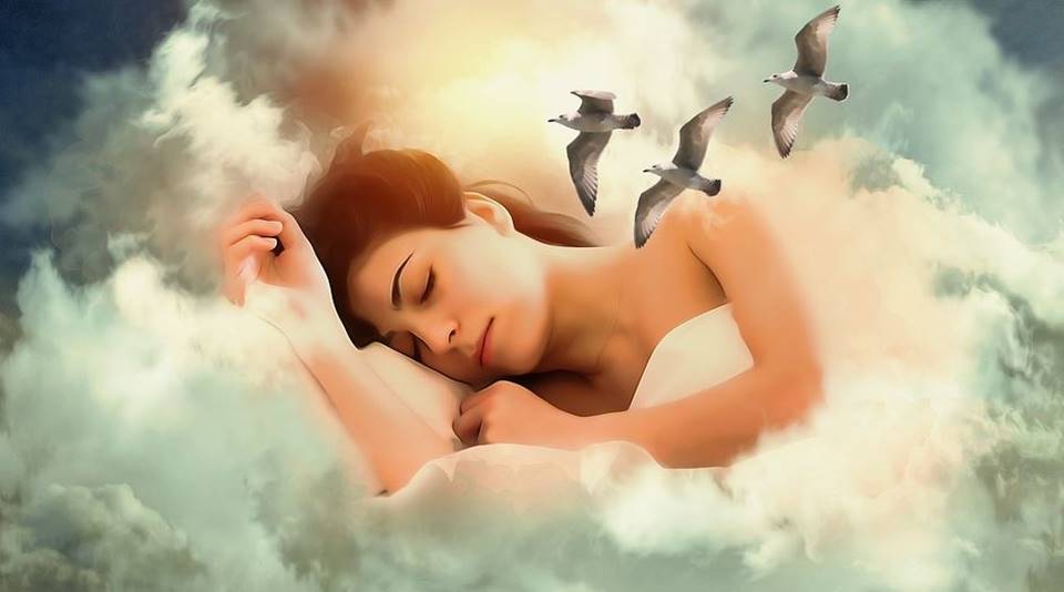 Dream