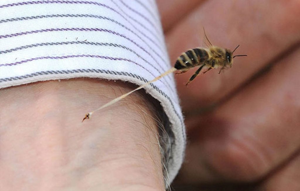 50-Jaw-Dropping-Photos-Taken-Just-Before-Disaster-23